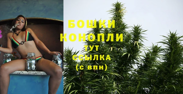 МДПВ Пересвет