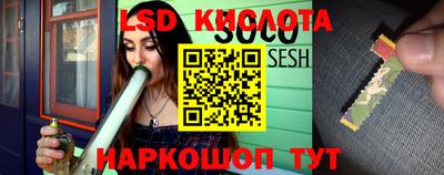 дмт Абакан