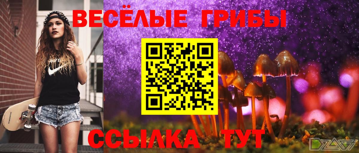 Алексин  Галлюциногенные грибы Cubensis  закладка  Вход с VPN 