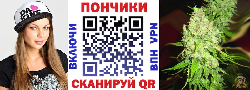 закладка  Алексин  Бошки Шишки гибрид 